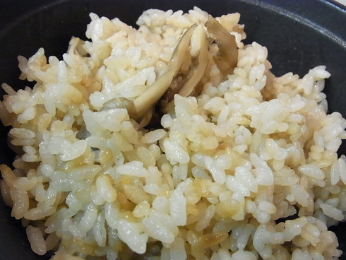 11月1日(月) ふみいちリポート 補足_d0082944_111113.jpg