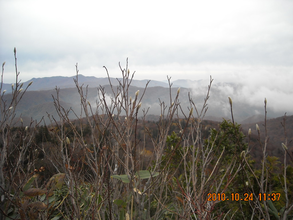 籾糠山　岐阜_b0150946_7531285.jpg