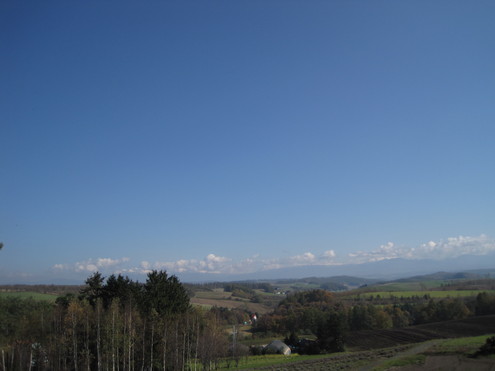 a0162251_1727516.jpg