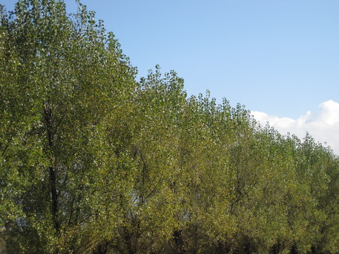 a0162251_17294869.jpg
