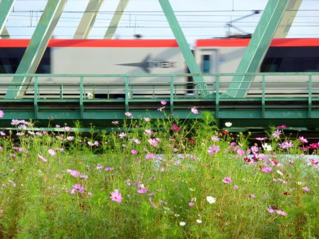 b0208652_11291733.jpg