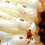 f0215268_12454371.jpg