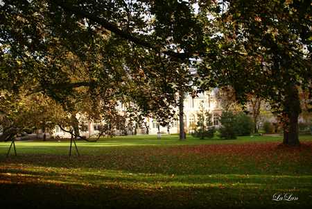 d0141376_7141325.jpg