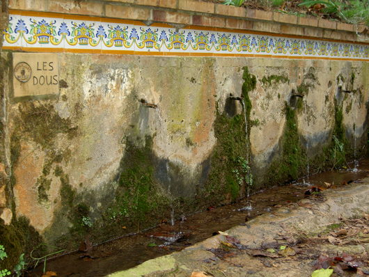 e0205478_12363.jpg