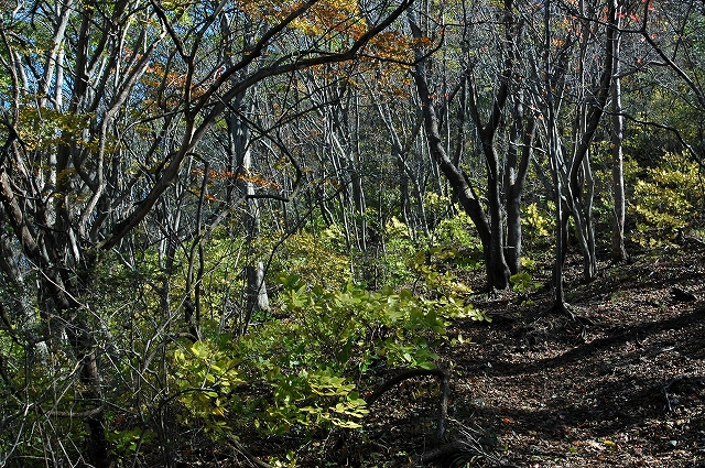 水沢山登山_c0212083_16235048.jpg