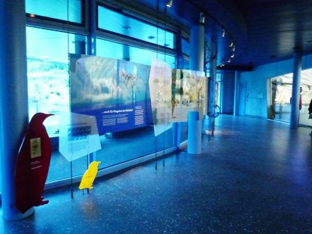 c0076387_0371646.jpg