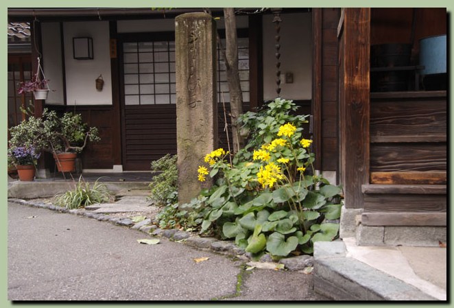 雨宝院～敬栄寺～犀川神社～永福寺_f0079990_8585745.jpg