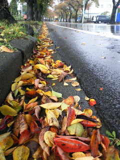 雲の大行進_a0134394_9495557.jpg