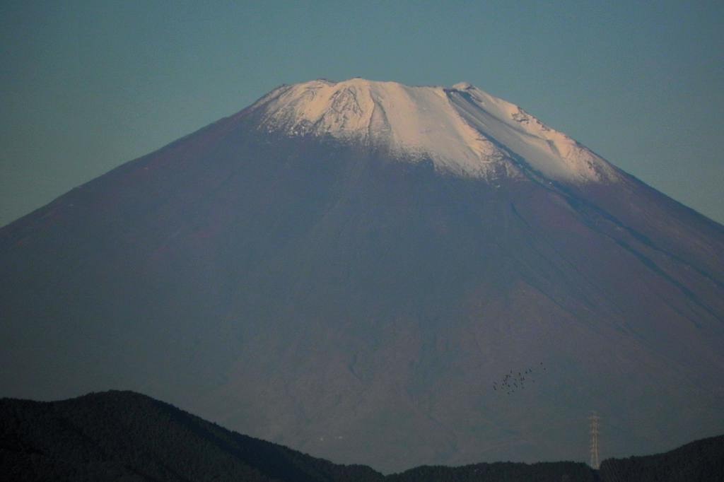 陣取り合戦/富士山冠雪_b0024798_12495417.jpg