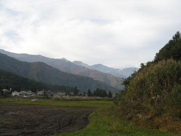 a0117599_2013836.jpg