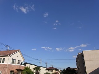 2010年11月3日（水） ； 晴れ_d0051601_23554392.jpg