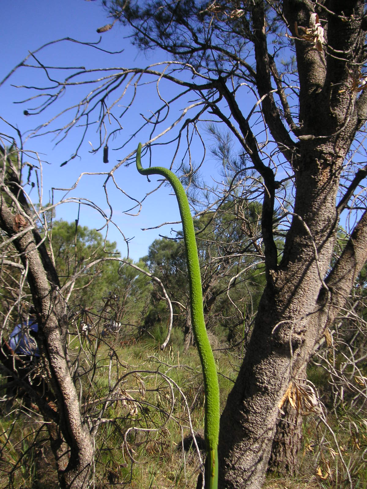 e0192203_1403766.jpg