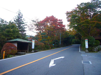 a0071805_17412145.jpg