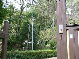 熊本を歩く　②　水前寺成趣園と立田自然公園_a0140305_1483918.jpg