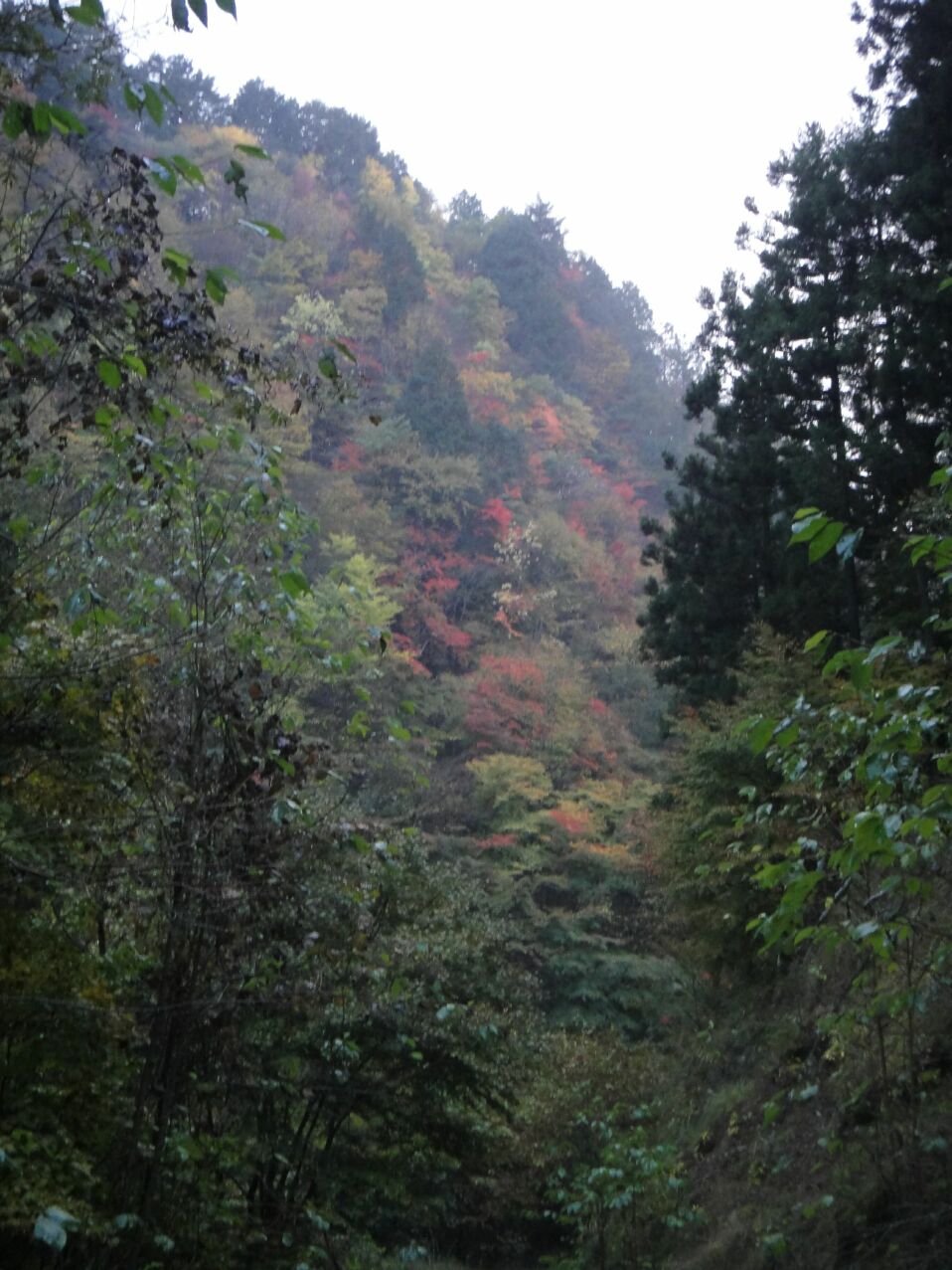 b0172805_2113096.jpg