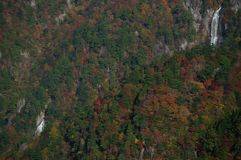 大台ヶ原大蛇嵓の紅葉_e0177413_20294275.jpg