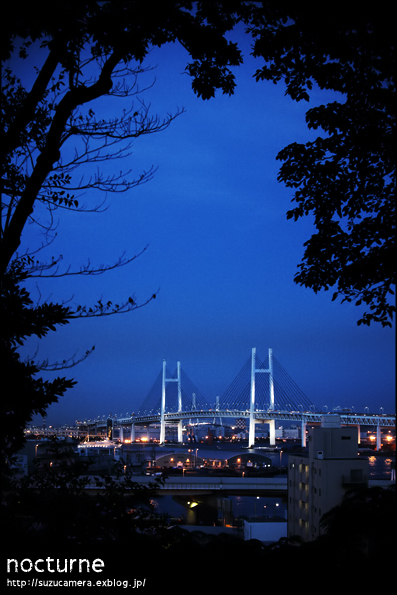 夜想曲_f0100215_1513041.jpg