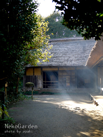 d0164118_2281149.jpg