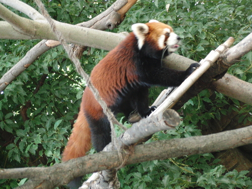 e0179321_2124277.jpg