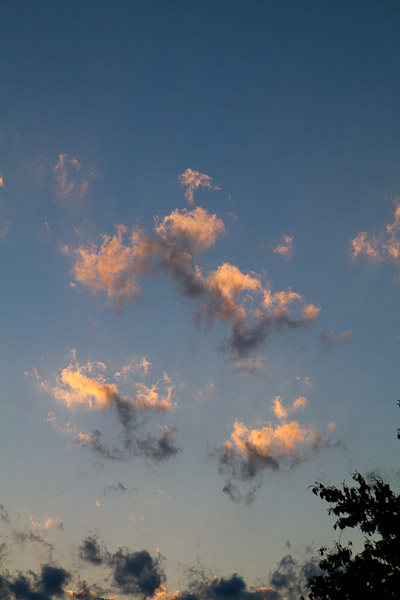 f0077521_17414242.jpg