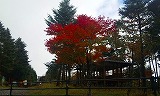 紅葉を探して_b0147522_17534999.jpg