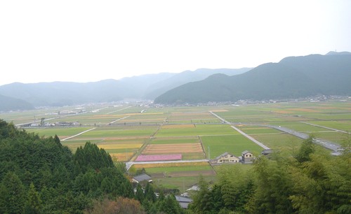 f0213825_8494959.jpg