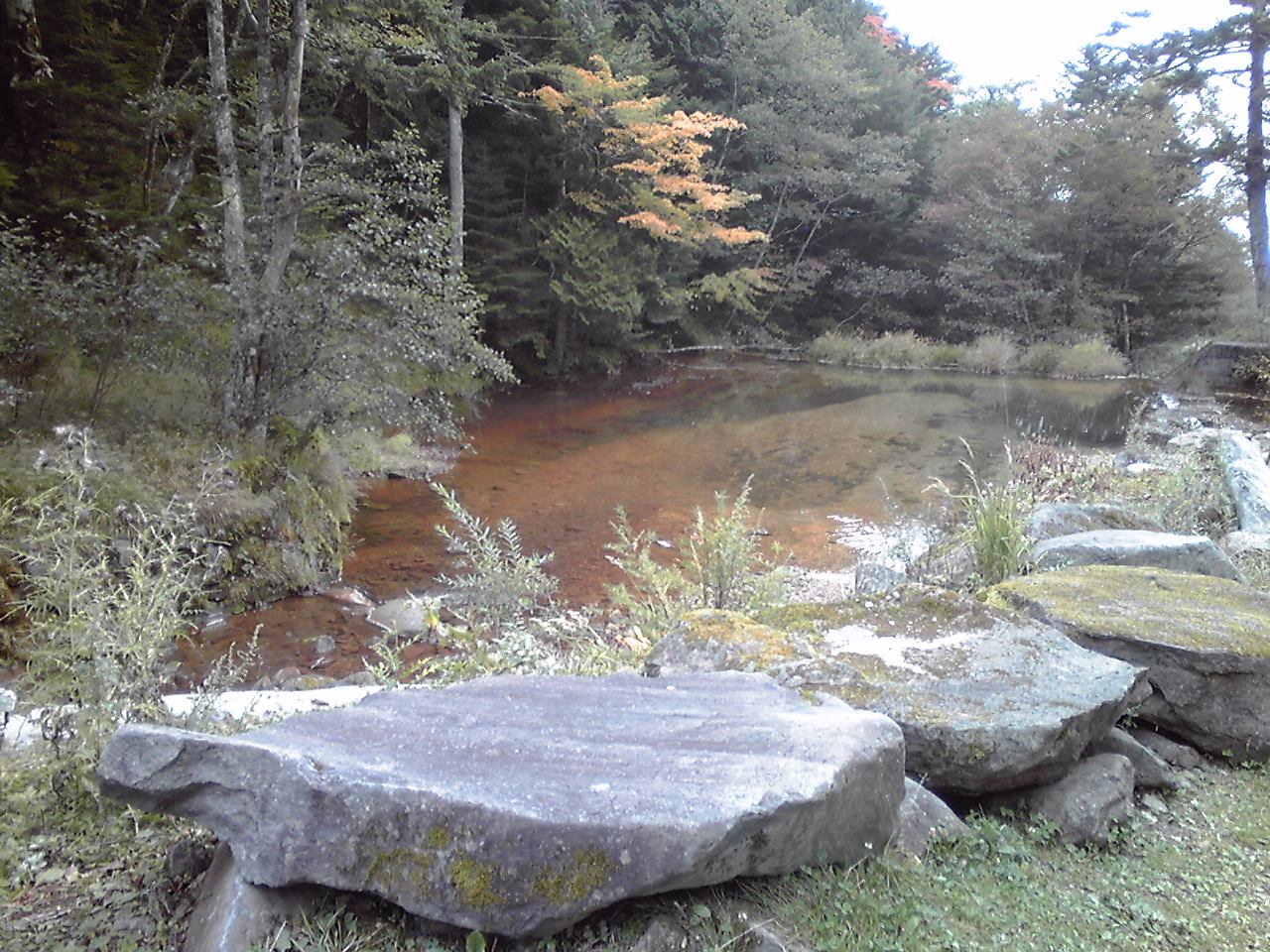 e0155231_13194331.jpg