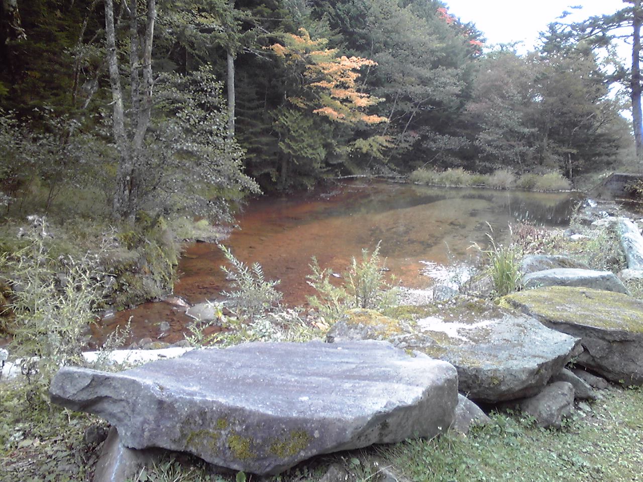 カレー＆温泉_e0155231_13194331.jpg