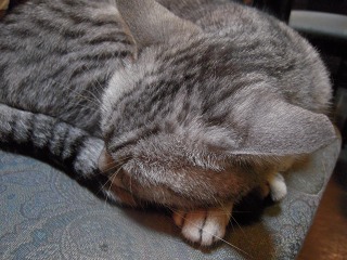 e0202031_21342468.jpg