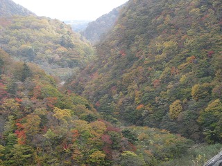 e0202031_2263638.jpg