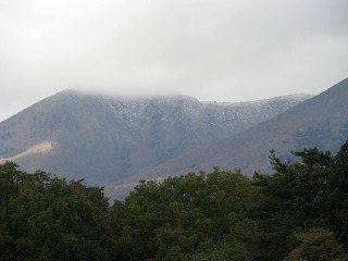 e0202031_2284950.jpg