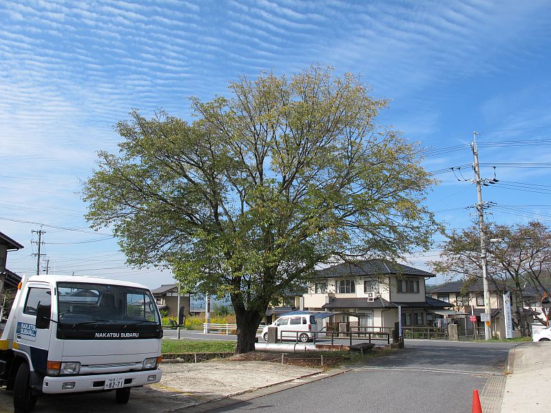熊出没とFB20エンジン_f0076731_19291398.jpg