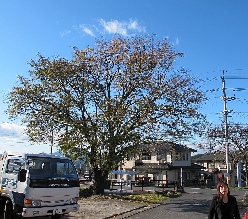 熊出没とFB20エンジン_f0076731_19293372.jpg