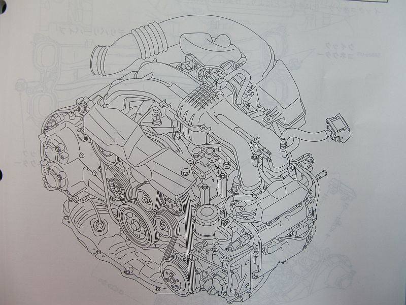 熊出没とFB20エンジン_f0076731_1942398.jpg