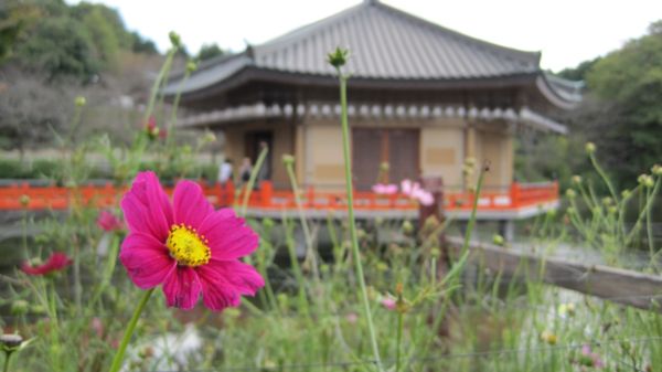b0180433_2025077.jpg