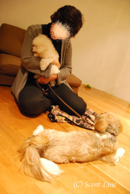 第3回「愛犬の為の整体教室」の模様 その2_c0099133_1325071.jpg