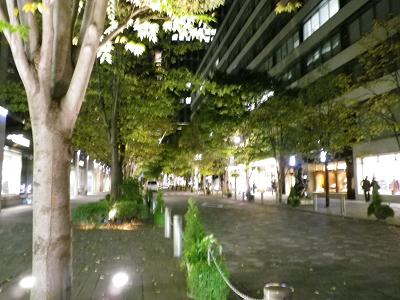 b0207536_22444934.jpg