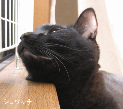 a0166338_13562980.gif