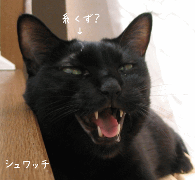 a0166338_13573912.gif