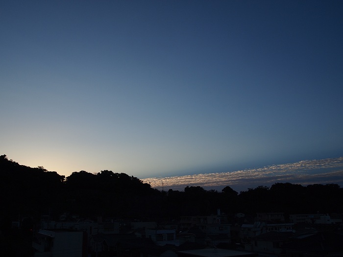 a0146442_78278.jpg
