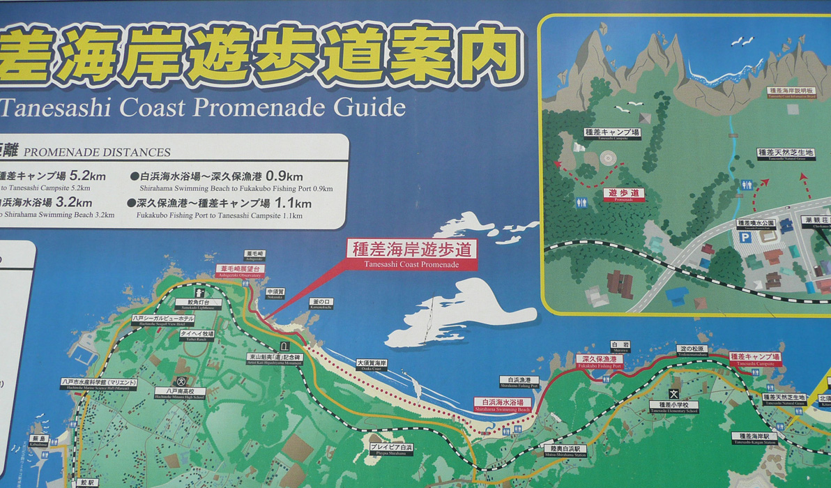 種差 たねさし 海岸遊歩道 あとりえ井戸吉 種差 たねさし 海岸遊歩道 あとりえ井戸吉