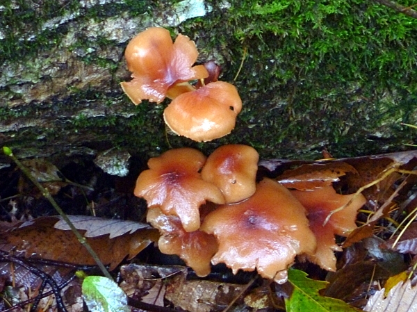 c0081645_23153969.jpg