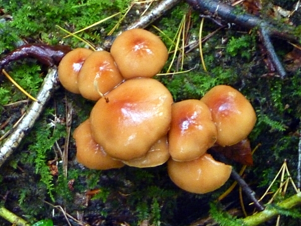 c0081645_231632.jpg
