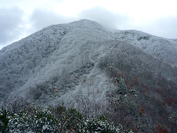c0081645_23292932.jpg
