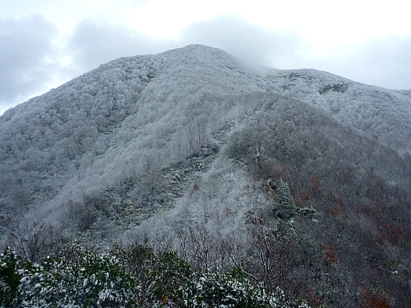 20101103_雪の面白山_c0081645_23292932.jpg