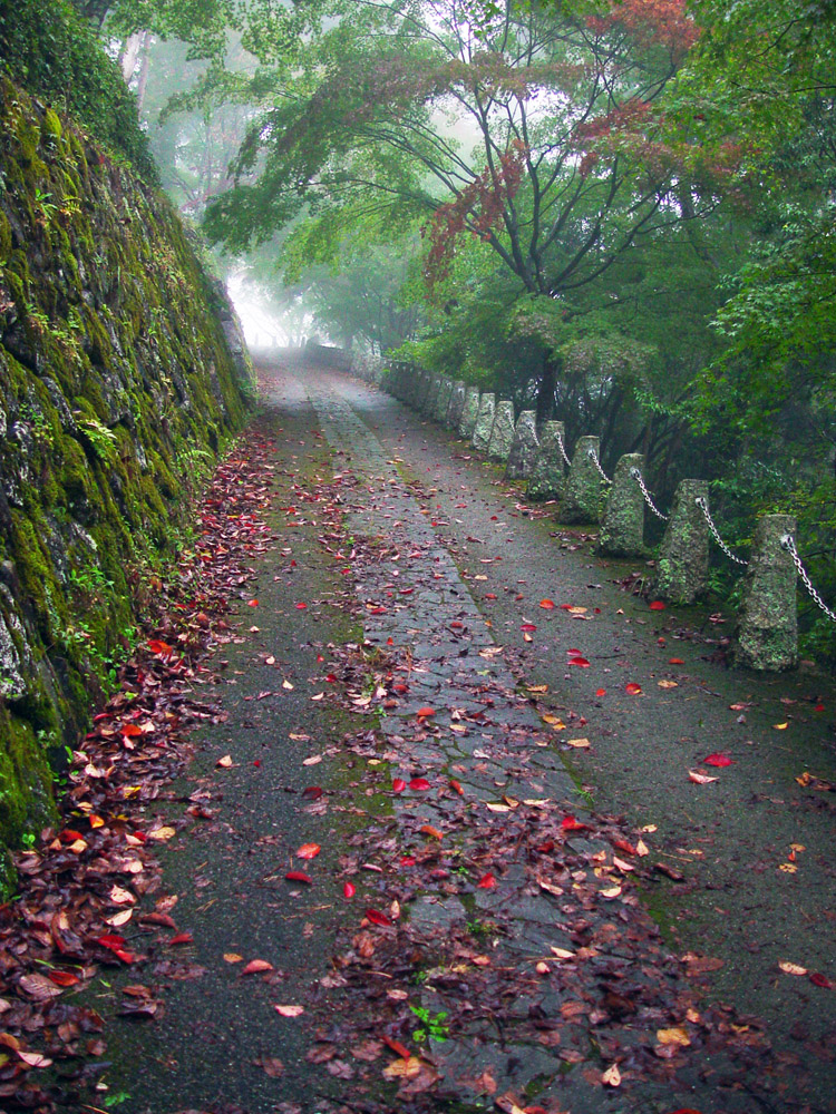 吉野　高城山　紅葉と霧_c0108146_2265275.jpg