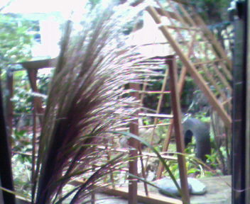 b0105259_16433218.jpg