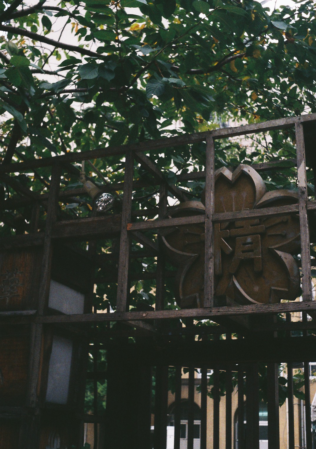f0209159_211597.jpg