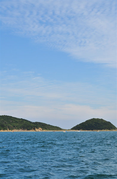 e0125762_2504841.jpg