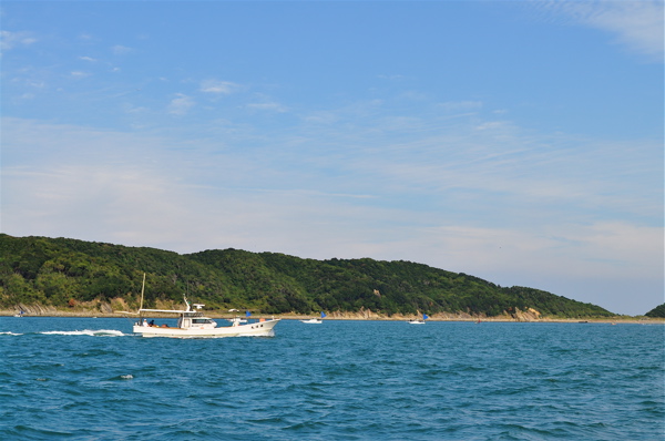 e0125762_34140.jpg